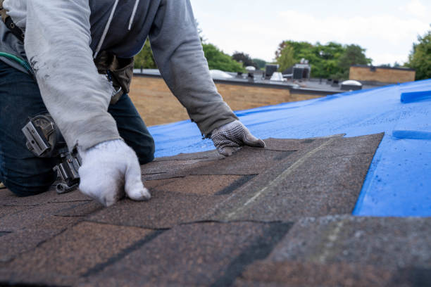 Trusted Kensington, CA Roofing Contractor Experts